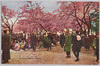 飛鳥山の桜/Cherry Blossoms in Asukayama image