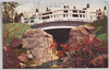 明治神宮神橋/Sacred Bridge of Meiji Jingū image
