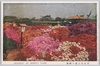 日比谷公園の躑躅　1/Azaleas in Hibiya Park 1 image