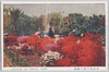 日比谷公園の躑躅　2/Azaleas in Hibiya Park 2 image