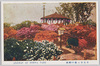 日比谷公園の躑躅　3/Azaleas in Hibiya Park 3 image