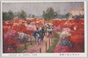 日比谷公園の躑躅　5/Azaleas in Hibiya Park 5 image