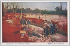 日比谷公園の躑躅　6/Azaleas in Hibiya Park 6 image