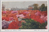 日比谷公園の躑躅　8/Azaleas in Hibiya Park 8 image