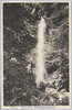 保津沢滝/Hossawa Falls image