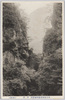 戸岩/Toiwa image
