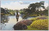 日比谷公園内鶴の池(東京)/The Crane Pond in Hibiya Park (Tokyo) image