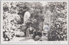 乃木大将夫妻の墓/Graves of General Nogi and His Wife image