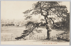帝国大学構内運動場 / Imperial University Campus Athletic Field image