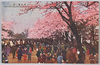 上野公園ノ桜/Cherry Blossoms in Ueno Park image