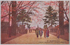九段靖国神社ノ桜/Cherry Blossoms at Yasukuni Shrine, Kudan image
