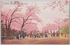 上野公園ノ桜/Cherry Blossoms in Ueno Park image