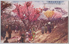 荒川堤五色桜/Five-colored Cherry Blossoms of the Arakawa Riverbank image