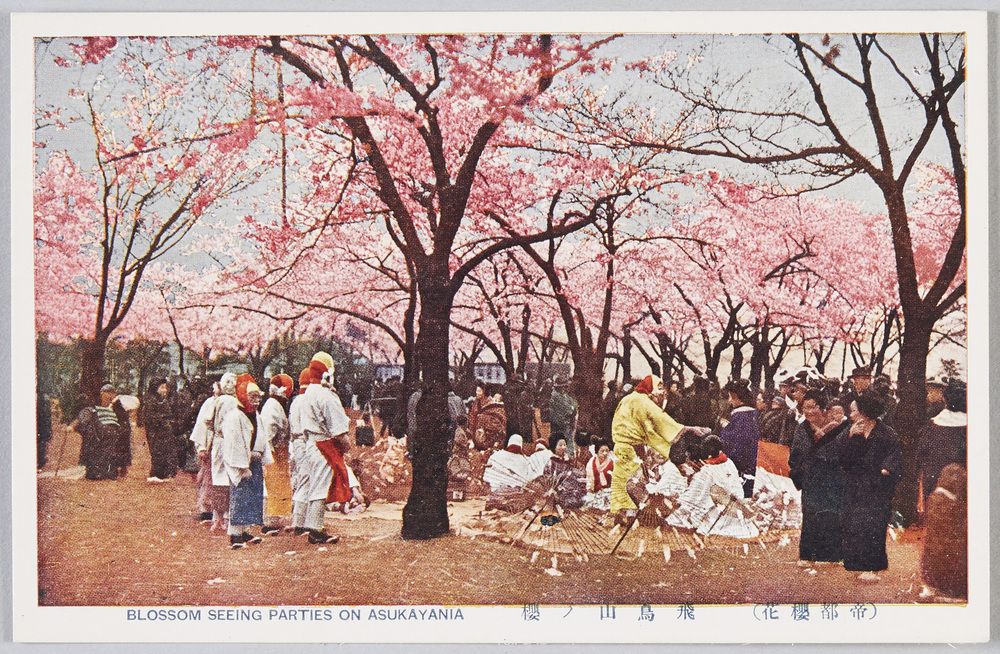 Picture Postcards of Places Famous for Cherry Blossoms | EDO
