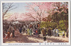 (帝都桜花)浅草公園ノ桜/(Cherry Blossoms in the Imperial Capital) Cherry Blossoms in Asakusa Park image