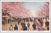 (帝都桜花)上野公園ノ桜/(Cherry Blossoms in the Imperial Capital) Cherry Blossoms in Ueno Park image