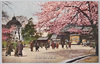 上野博物館前の桜/Cherry Blossoms in Front of Ueno Museum image
