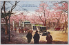 上野動物園付近の桜/Cherry Blossoms Near Ueno Zoo image