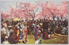 飛鳥山ノ桜花/Cherry Blossoms in Asukayama image
