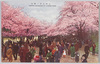 上野公園ノ桜花/Cherry Blossoms in Ueno Park image