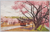 赤坂見附ノ桜花/Cherry Blossoms in Akasaka Mitsuke image