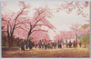 上野公園ノ桜花/Cherry Blossoms in Ueno Park image
