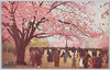 上野公園ノ桜花/Cherry Blossoms in Ueno Park image