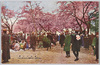 飛鳥山の桜/Cherry Blossoms in Asukayama image
