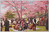 飛鳥山の桜/Cherry Blossoms in Asukayama image