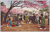 飛鳥山の桜/Cherry Blossoms in Asukayama image