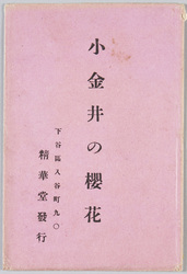 小金井の桜花 / Cherry Blossoms in Koganei image