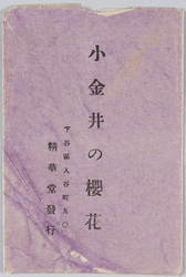 小金井の桜花 / Cherry Blossoms in Koganei image