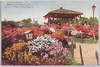 (東京名勝)日比谷の躑躅/(Scenic Beauties of Tokyo) Azaleas in Hibiya Park image