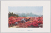 日比谷公園の躑躅/Azaleas in Hibiya Park image
