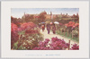 日比谷公園の躑躅/Azaleas in Hibiya Park image