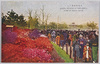 日比谷公園つつじ/Azaleas in Hibiya Park image