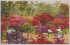 日比谷公園つつじ/Azaleas in Hibiya Park image