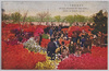 日比谷公園つつじ/Azaleas in Hibiya Park image