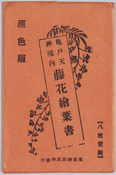 亀戸天神境内　藤花絵葉書 / Kameido Tenjin Shrine Precincts, Wisterias Picture Postcards image
