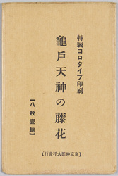 亀戸天神の藤花 / Wisterias at Kameido Tenjin Shrine image