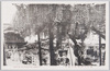 亀戸天神境内の藤花　VIEW OF WISTARIA AT KAMEDO/Wisterias in the Precincts of Kameido Tenjin Shrine image