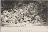 高尾山三十六童子/36 Dōji of Mt. Takao image