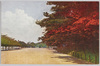 秋の郊外(6)/Suburbs in Autumn (6) image