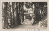高尾山名勝　本坊山門　THE TAKAOZAN PLACE./Scenic Beauties of Mt. Takao, Sanmon Gate of the Main Temple image