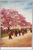 平和記念東京博覧会　第一会場正面全景(其三)/The Tokyo Peace Exhibition, Panoramic View of the Front of Site No. 1 (Part 3) image