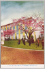 平和記念東京博覧会　第一会場正面全景(其一)/The Tokyo Peace Exhibition, Panoramic View of the Front of Site No. 1 (Part 1) image
