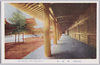 (明治神宮)御廻廊　The Corridor of the Meiji Jingū/(Meiji Jingū) Corridor image