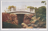 (明治神宮)御神橋　The Gate of the Meiji Jingū/(Meiji Jingū) Sacred Bridge image