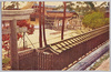 (明治神宮)東鳥居ヨリ便殿ヲ望ム　MEIJI SHINGU/(Meiji Jingū) View of the Emperor's Temporary Residence From Higashi Torii image