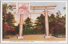 明治神宮参道大鳥居　The Shrine-entrance of the Meiji Jingū/Ōtorii on the Approach to Meiji Jingū image